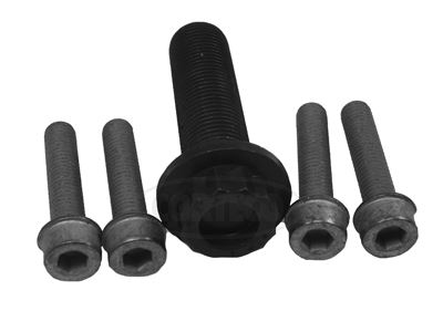 CORTECO 80001259 Motor Küçük Aksesuar Parçaları - VW SHARAN (7M8, 7M9, 7M6) uyumlu