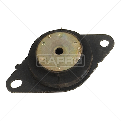 RAPRO R52103 Motor Motor Yataklama - RENAULT LAGUNA II (BG0/1_) uyumlu