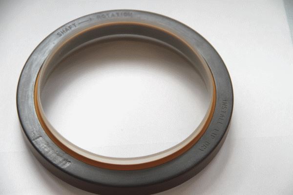 CORTECO 49361886 Motor Radyal Mil Contası Seti