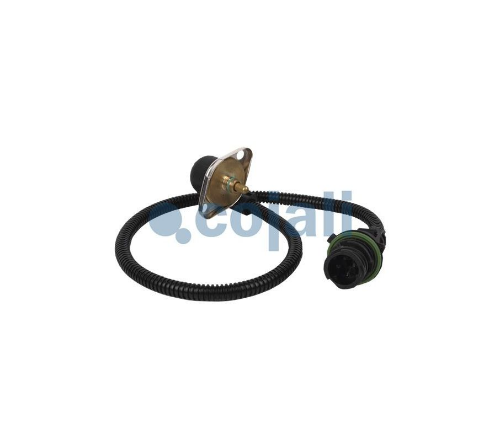 COJALI 2260252 Motor Motor Elektrik Donanımı