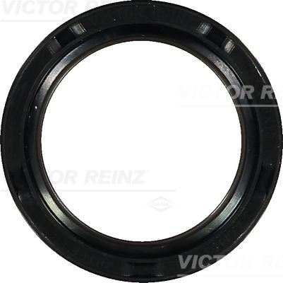 VICTOR REINZ 81-34366-00 Motor Radyal Mil Contası Seti - VW PASSAT B7 (362) uyumlu