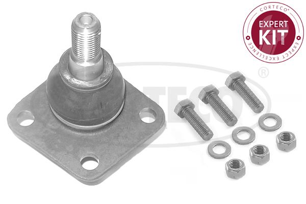 CORTECO 49398604 Tekerlek & Aks Parçaları Taşıyıcı Mafsal - FIAT DOBLO Kasa/büyük limuzin (223_) uyumlu