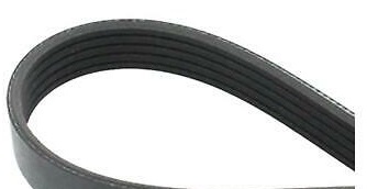 SNR CA5PK1570 Motor Kayış - LANCIA Y (840_) uyumlu