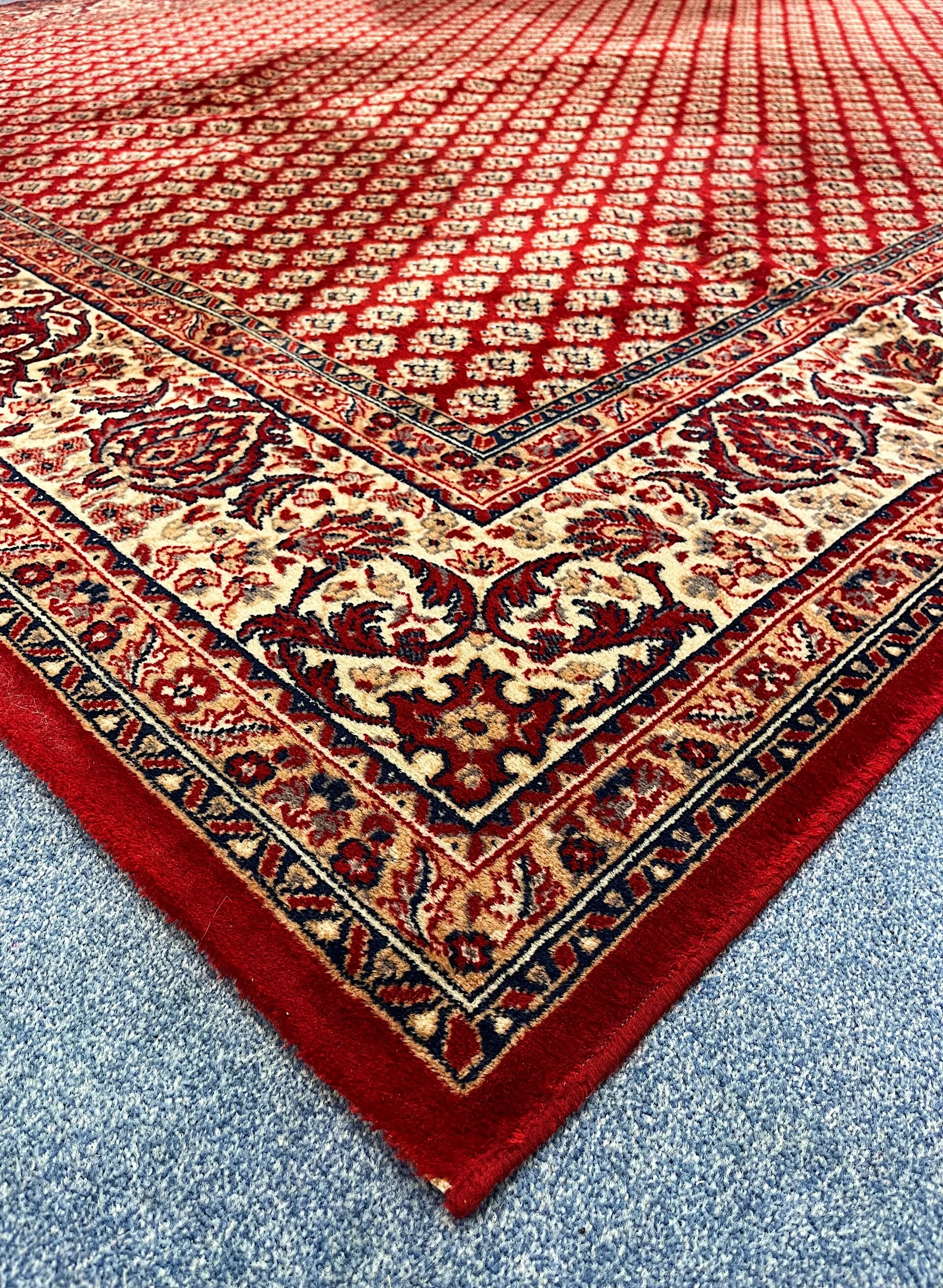 XL Oriental Rug - 350 x 250cm