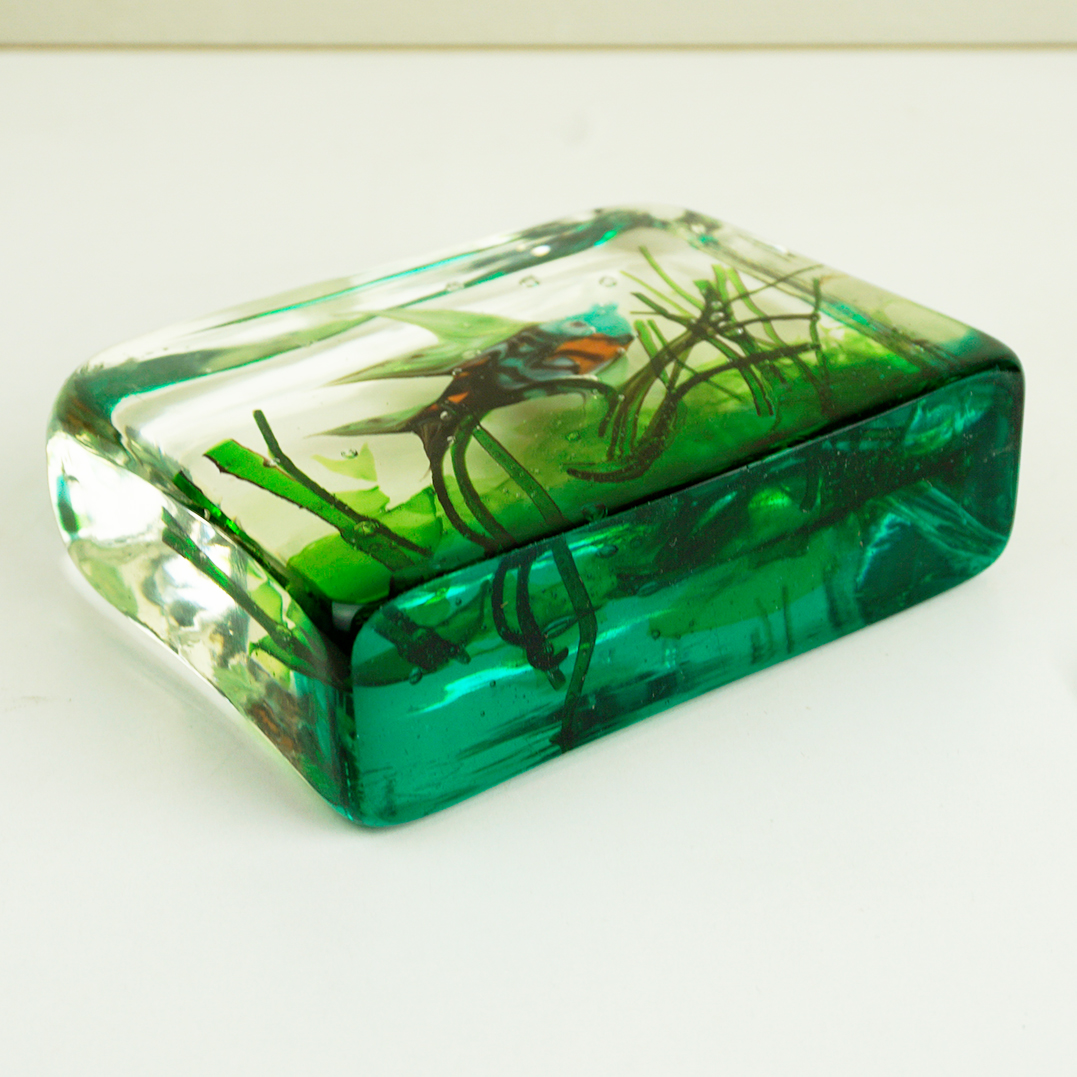 Gino Cenedese Murano Glass Aquarium