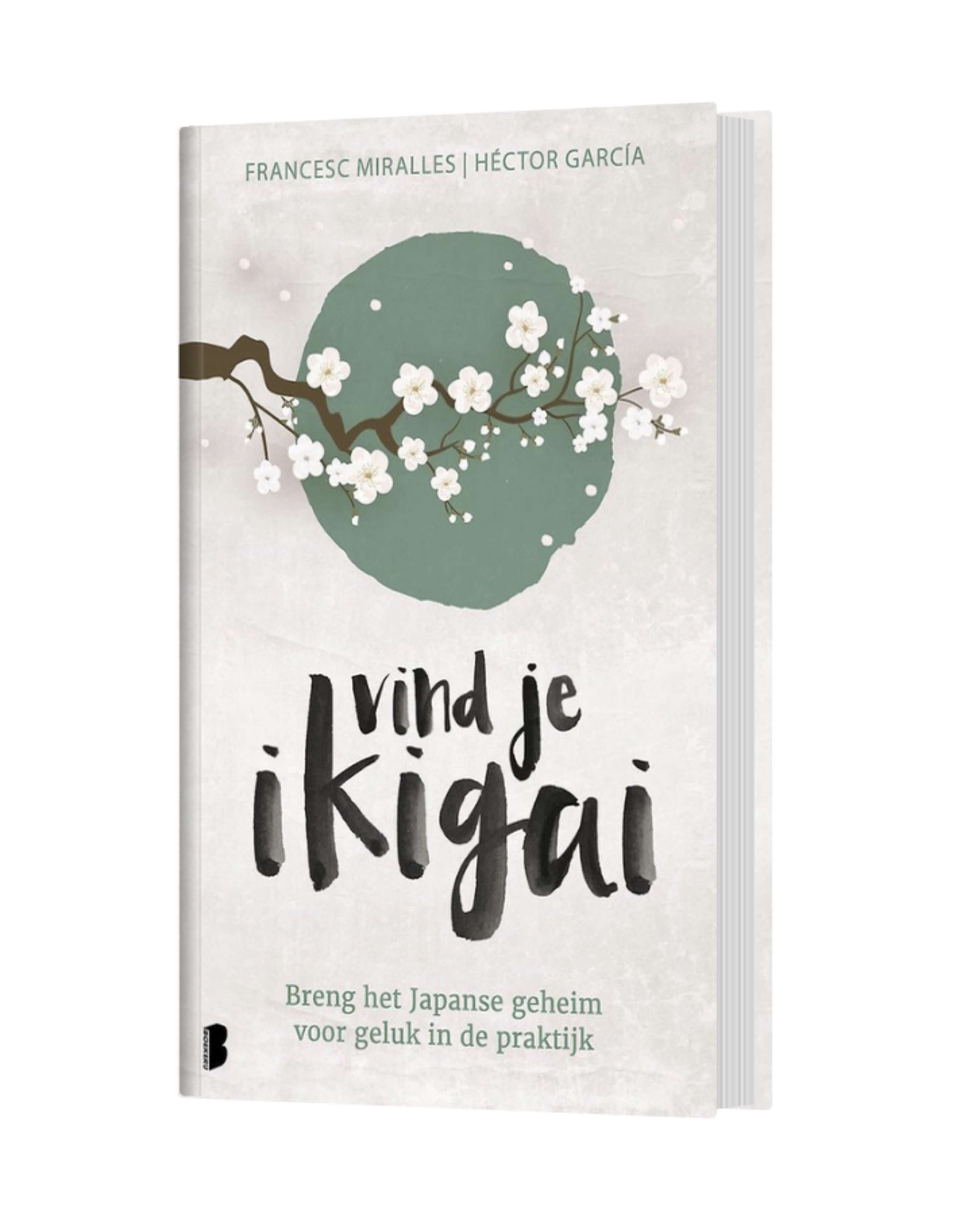 Vind je ikigai