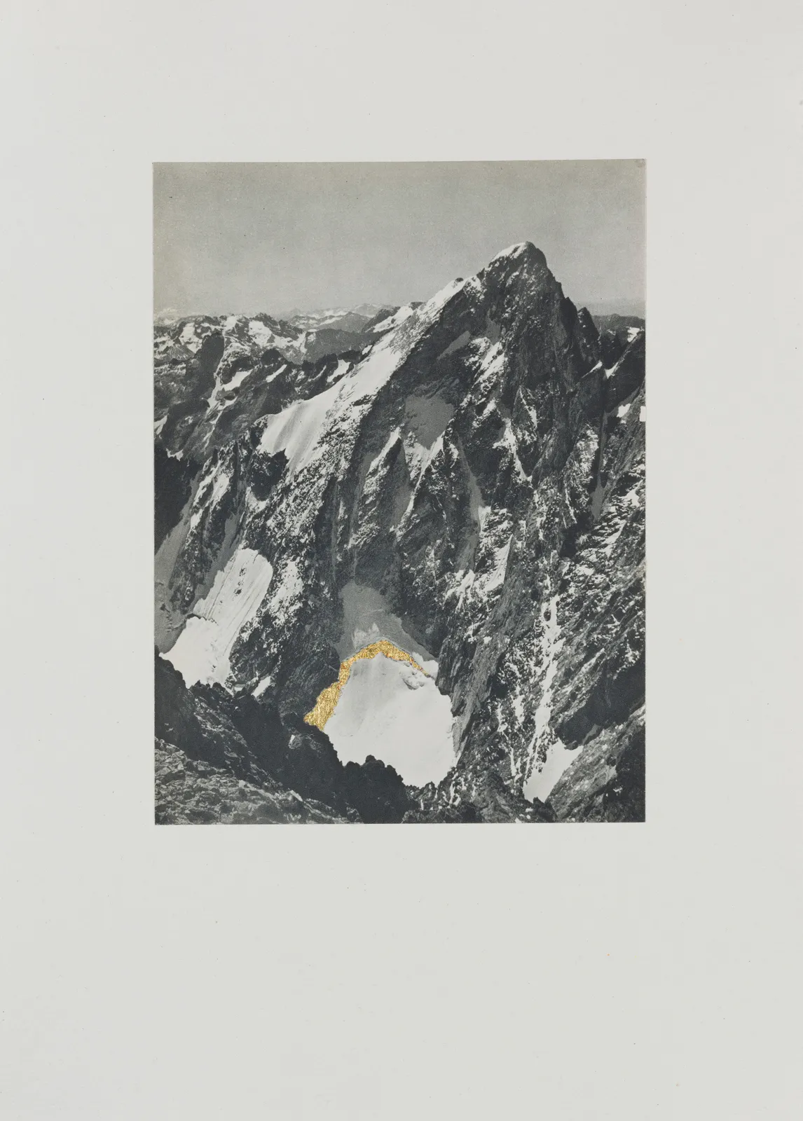 La Pointe Swan Vintage Photograph