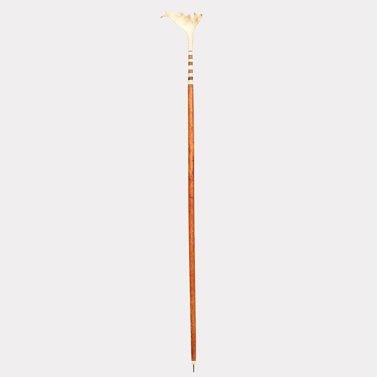 Bear Spear