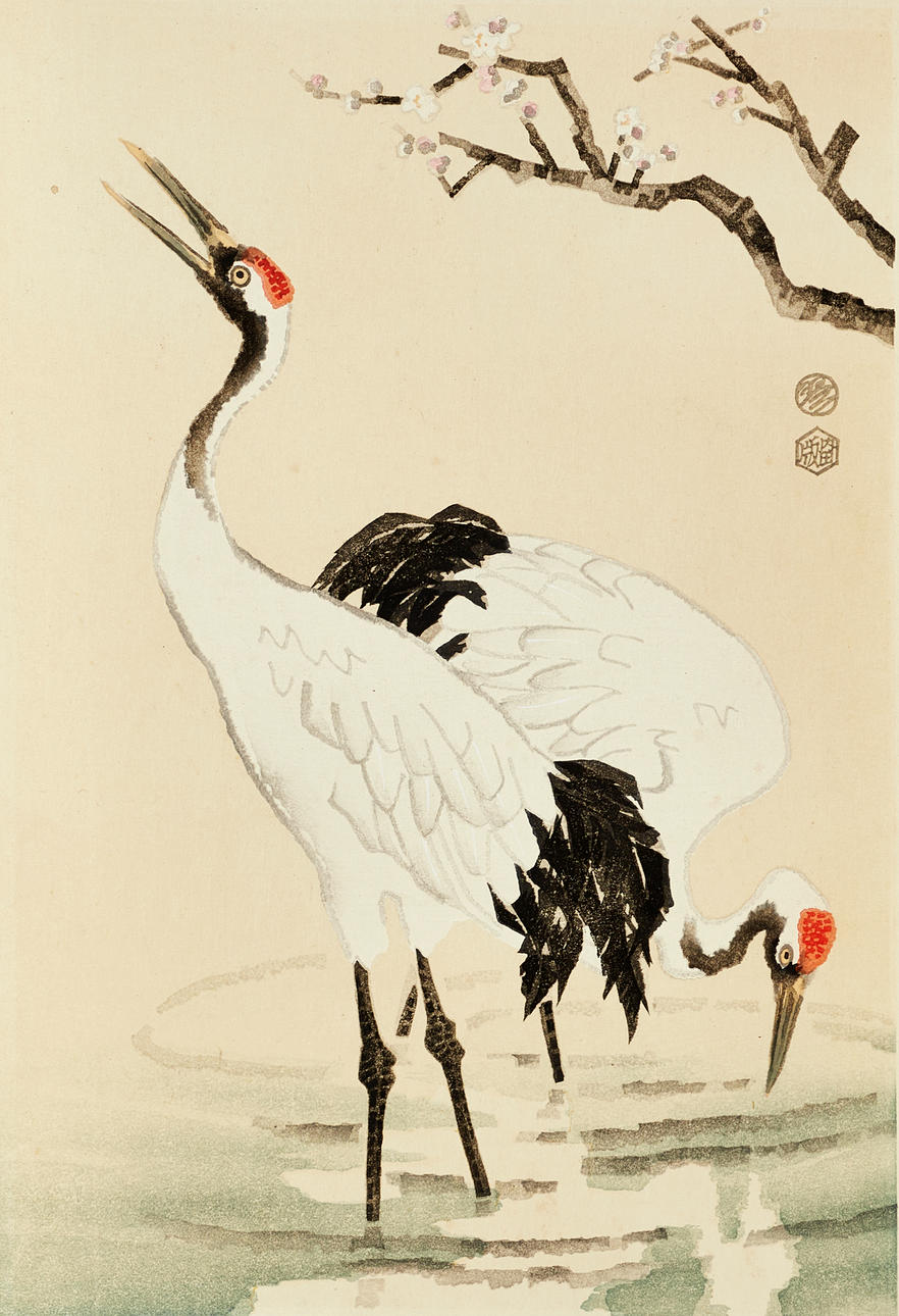 White Crane with a Red Crest Woodblock Print