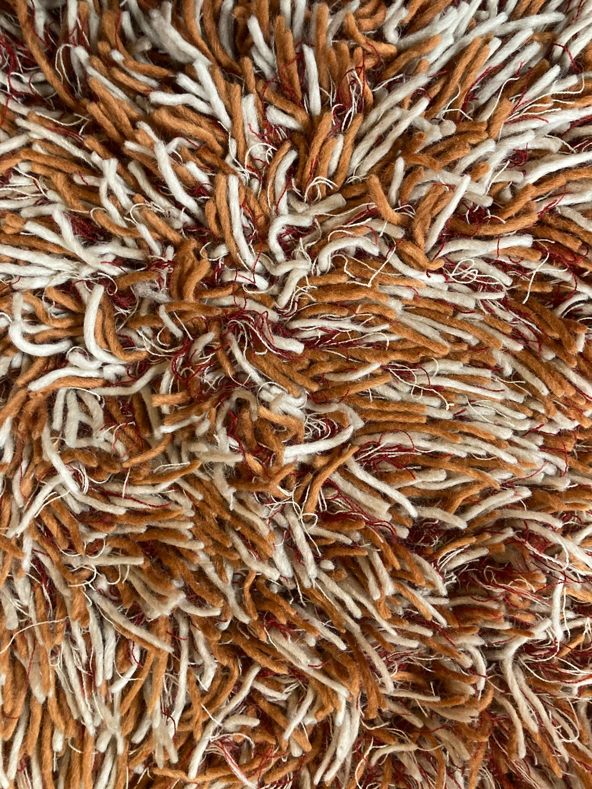 Shag Rug
