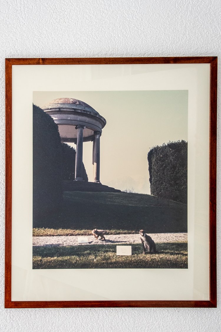 Olivier Richon Photograph, 1988