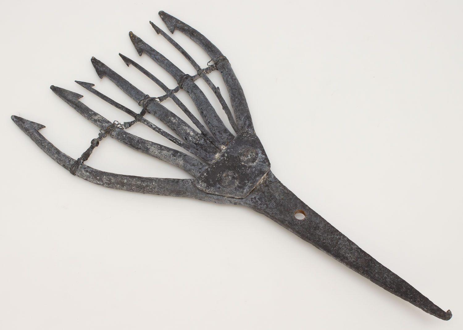Eel Spear