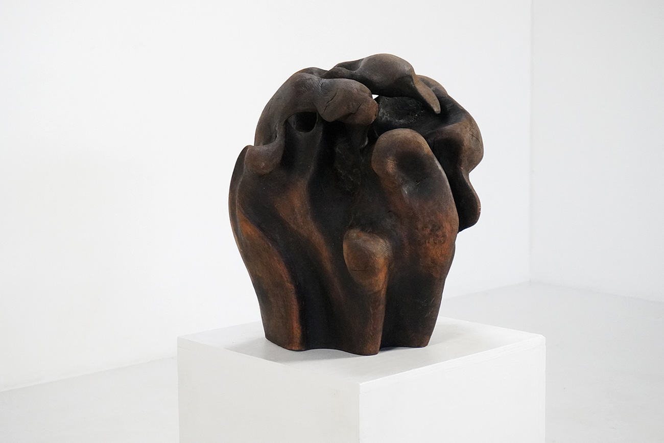 Abstract Organic Wooden Sculpture