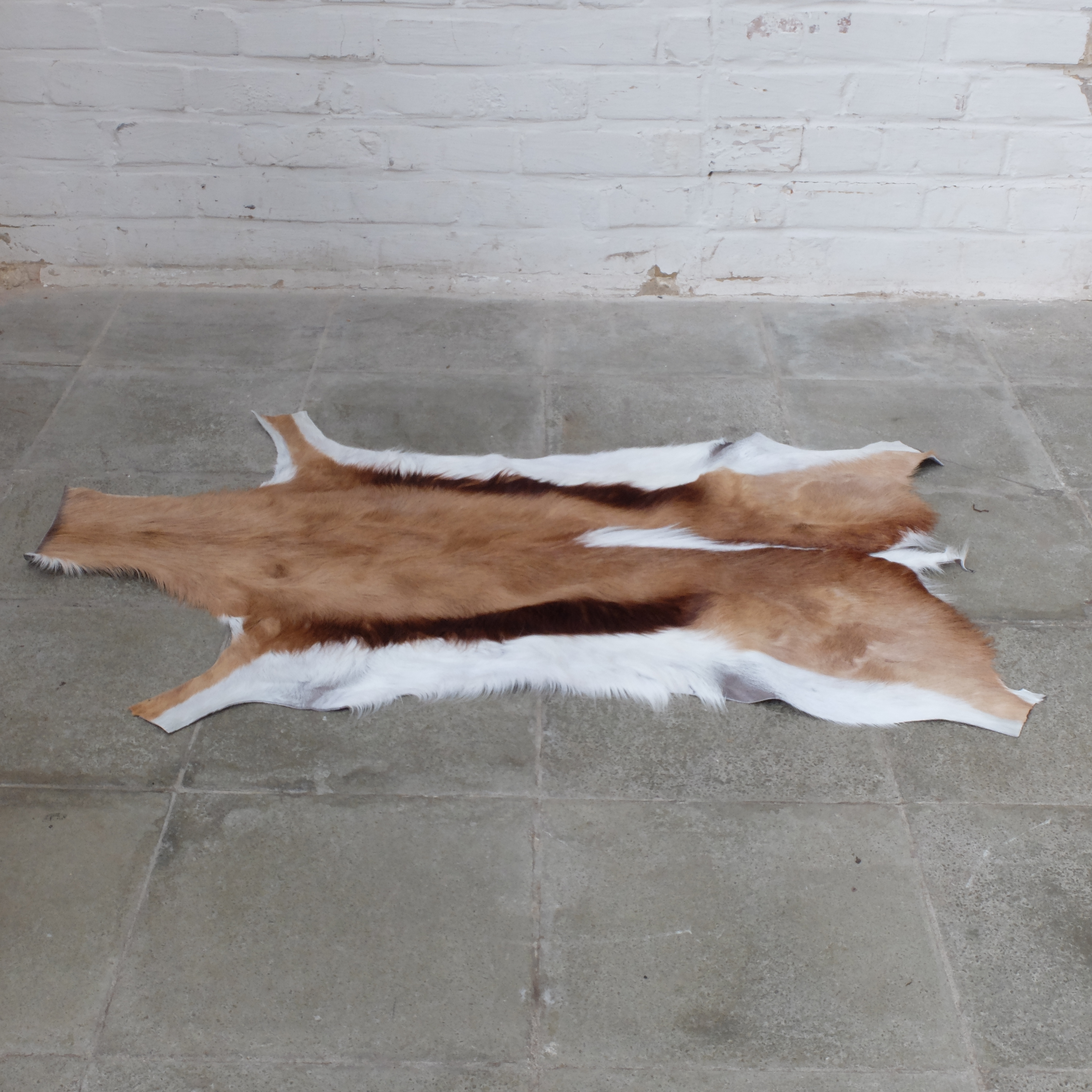 Springbok Hide