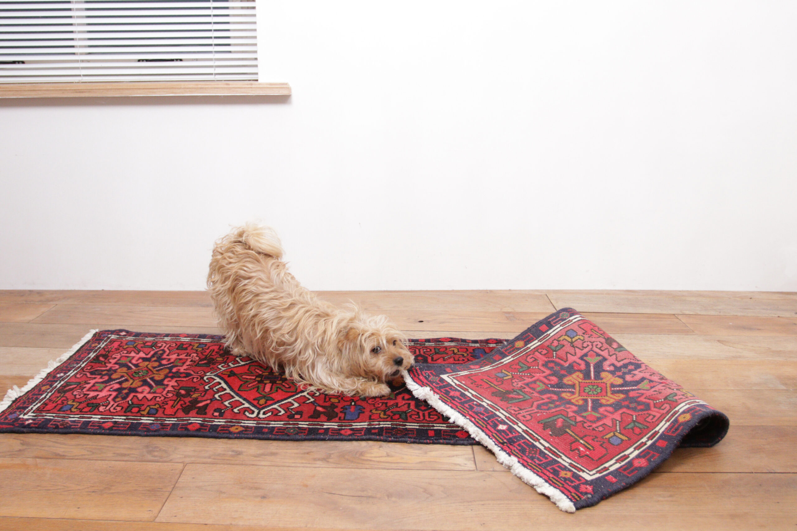 Vintage Hand-Knotted Rug