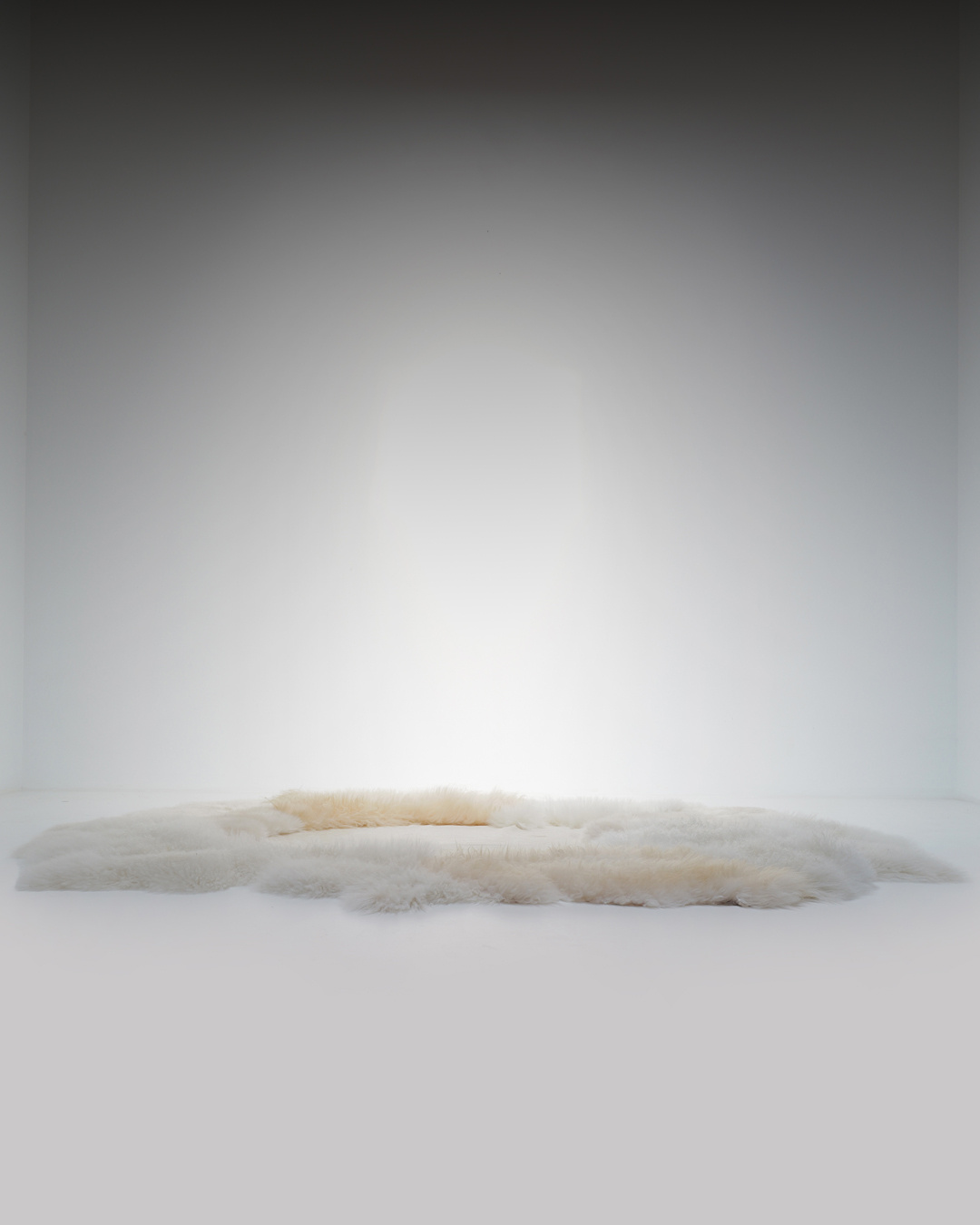 XL Landscape Carpet by Carine Boxy