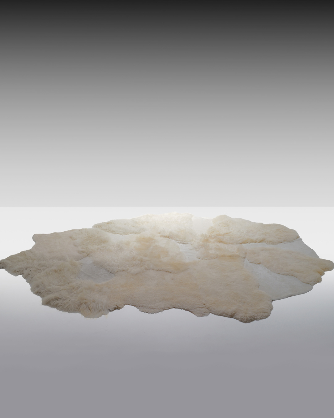 XL Carine Boxy "Trust" Carpet