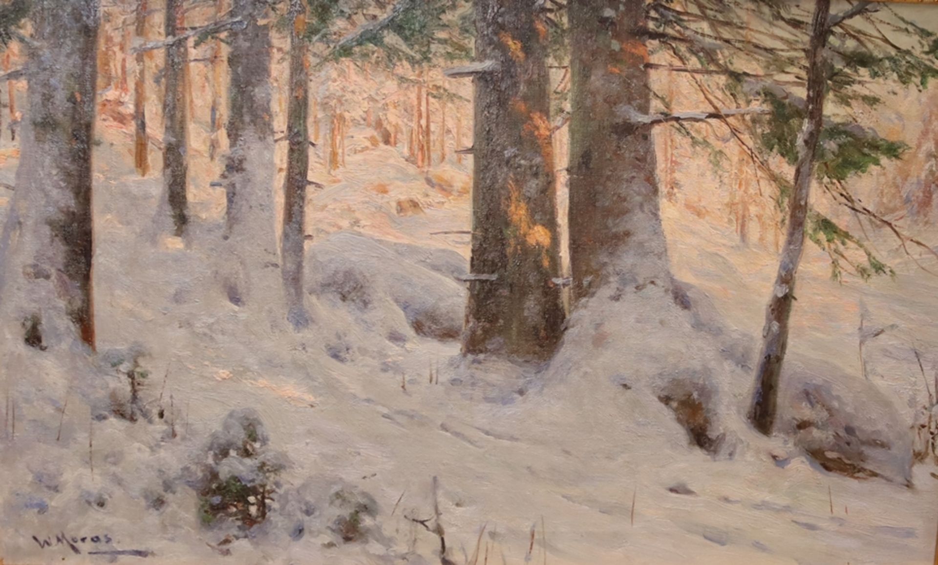 Winter Forest