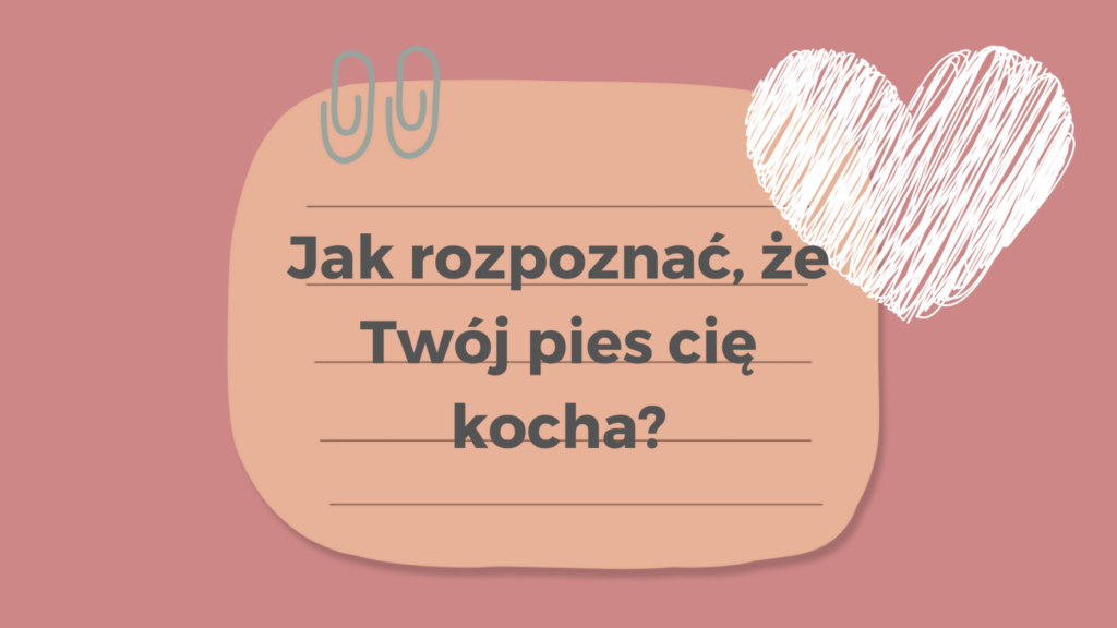 Jak rozpoznać, że Twój pies cię kocha?