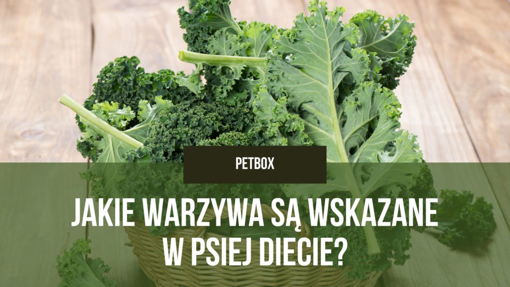 Jakie warzywa są wskazane w psiej diecie
