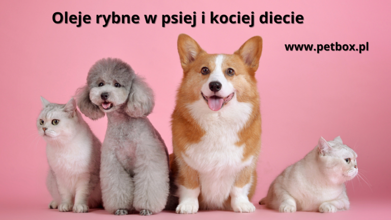 Oleje rybne w psiej i kociej diecie