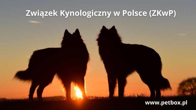 Związek Kynologiczny w Polsce (ZKwP)