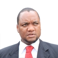 Miles Sampa profile