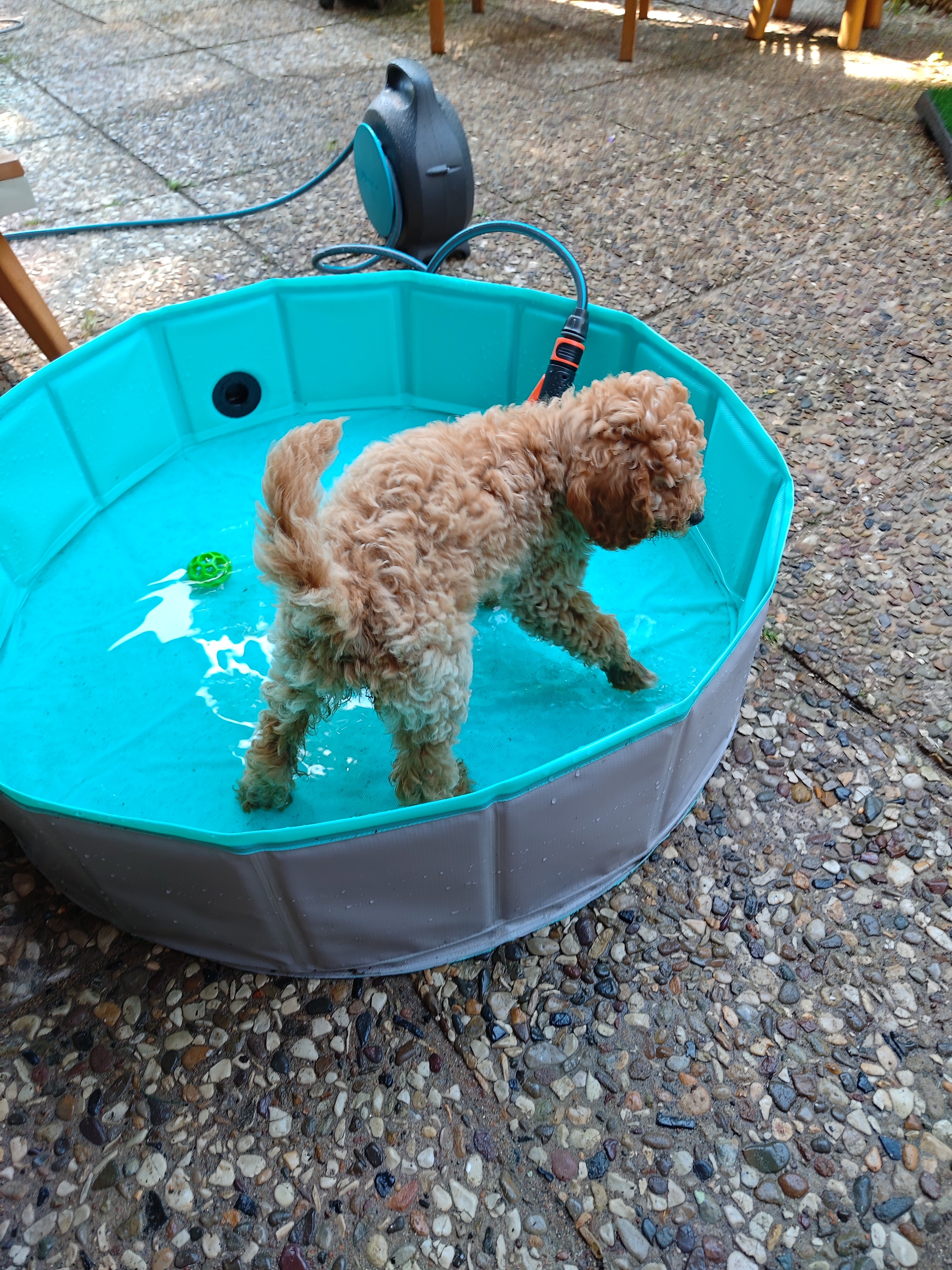 33 Grad = Polly Pool Party