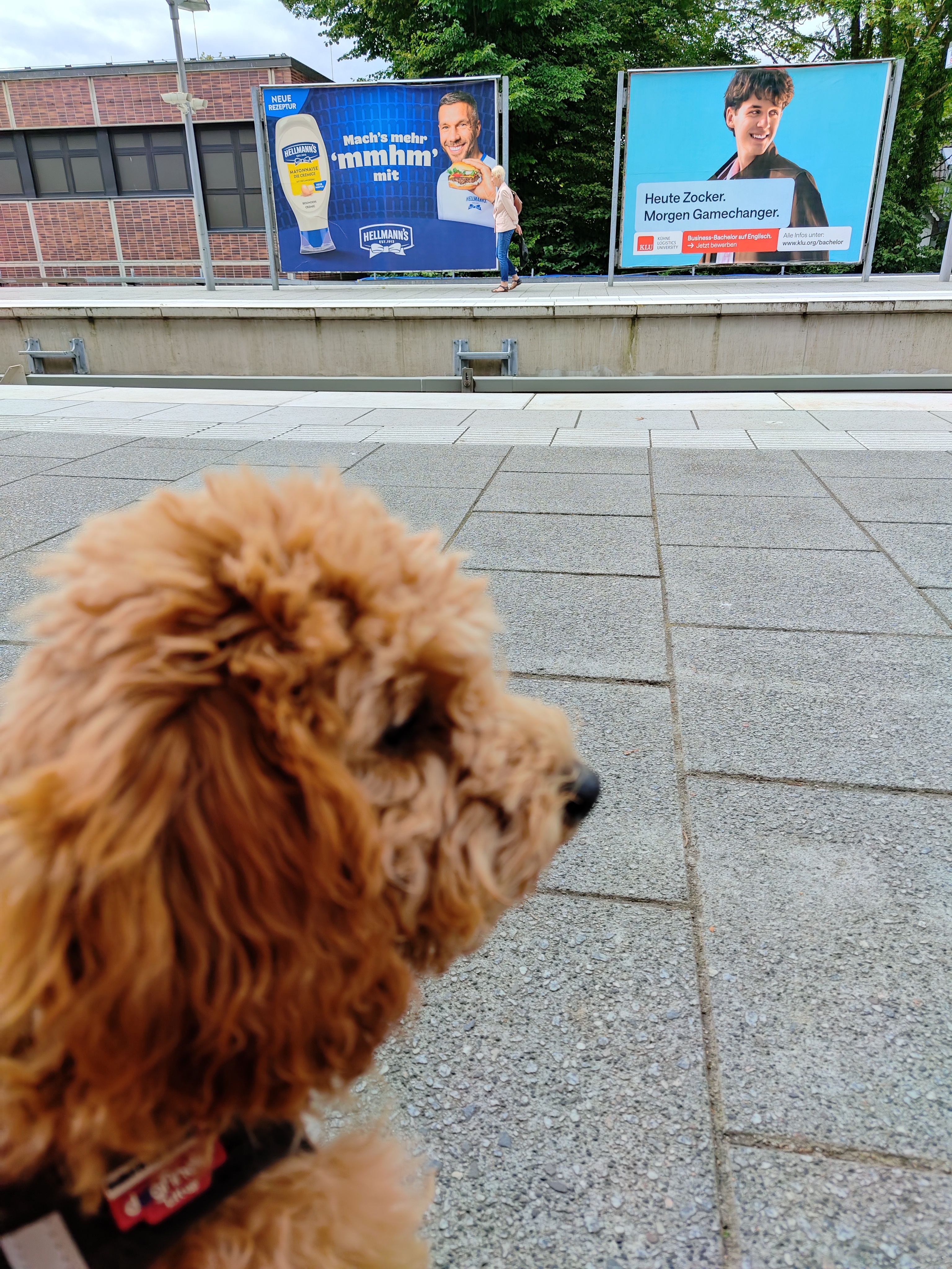 Pollys erste Bahnfahrt 