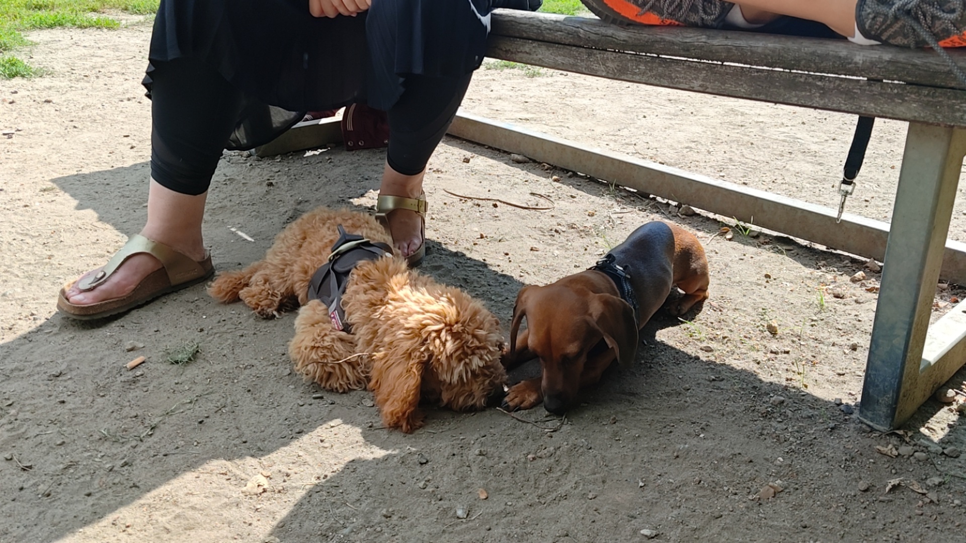 Polly und Bobby
