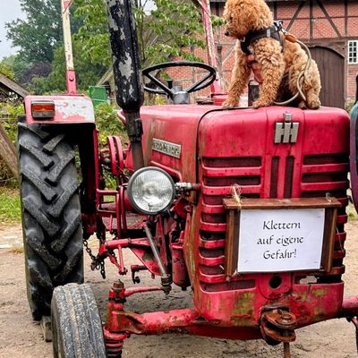 Polly sitzt auf einem roten Traktor und schaut sich um, daneben hängt ein Schild mit der Aufschrift „Klettern auf eigene Gefahr!“