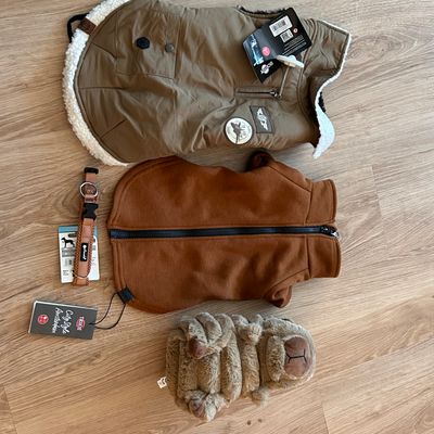 Pollys Winter-Outfit mit Hundejacke, Fleece-Hoodie, Leine und Plüschtier auf einem Holzboden ausgebreitet.