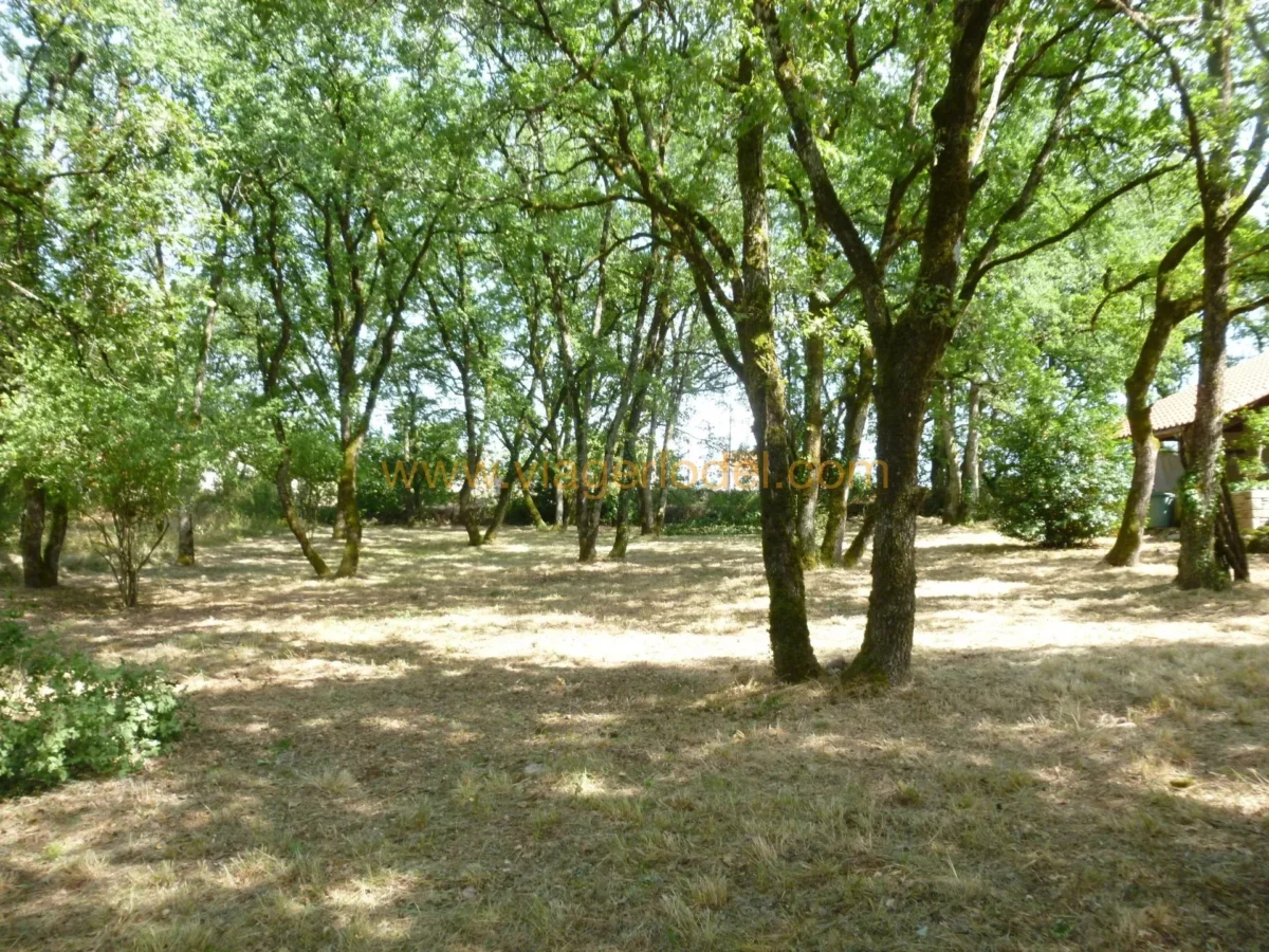 Photo 2 sur 5
