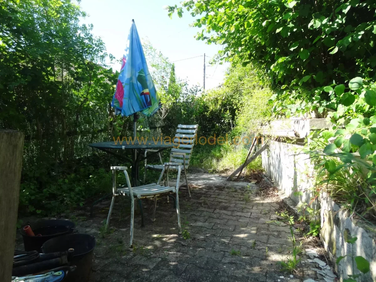 Photo 2 sur 7
