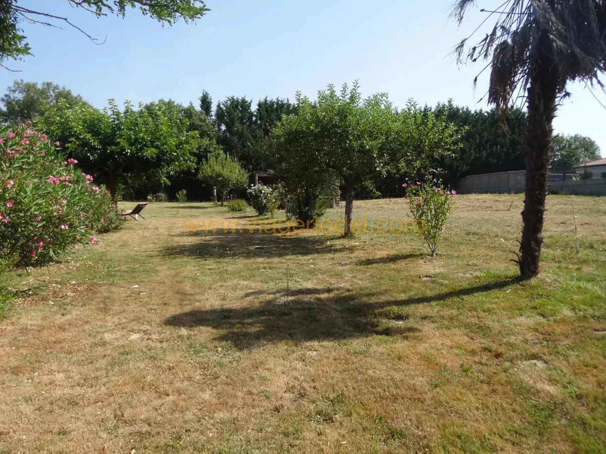 Photo 2 sur 9