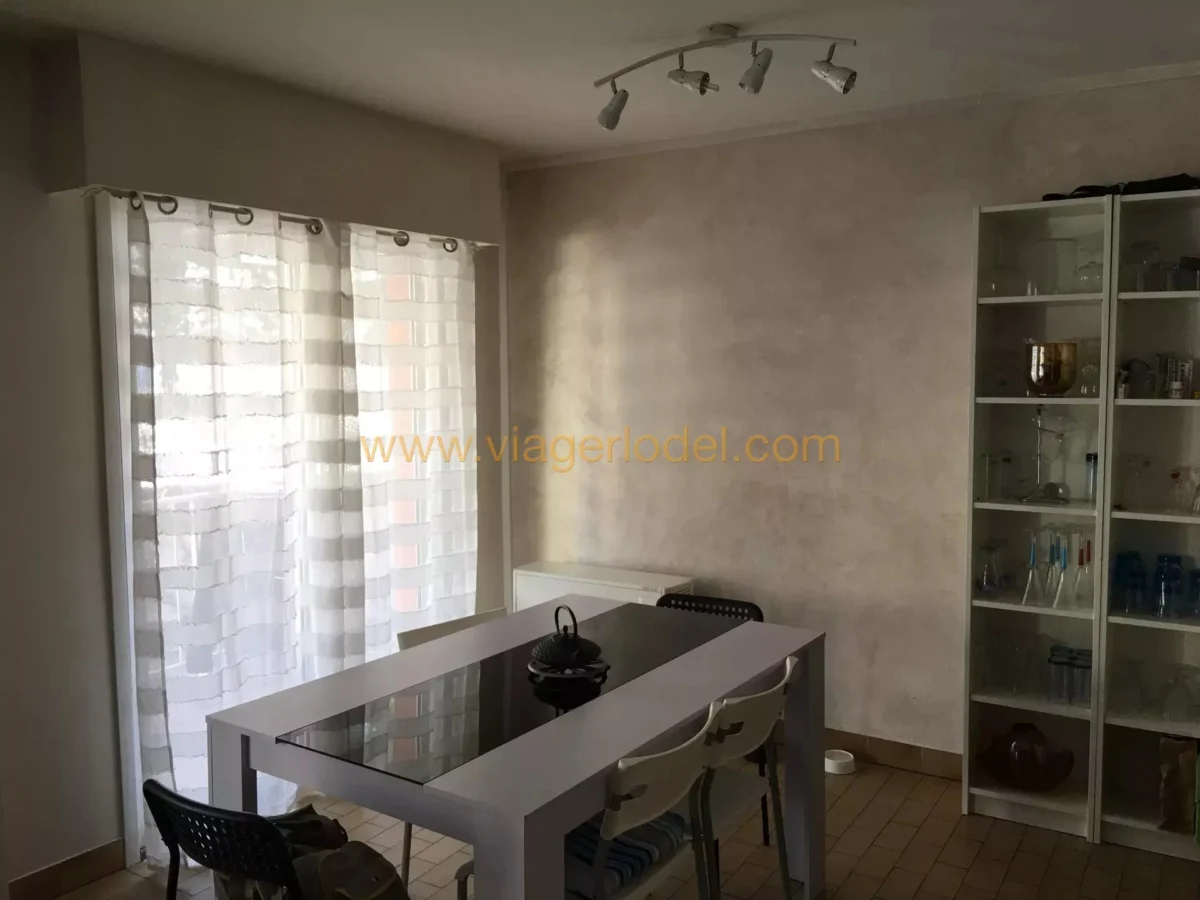 Photo 2 sur 9