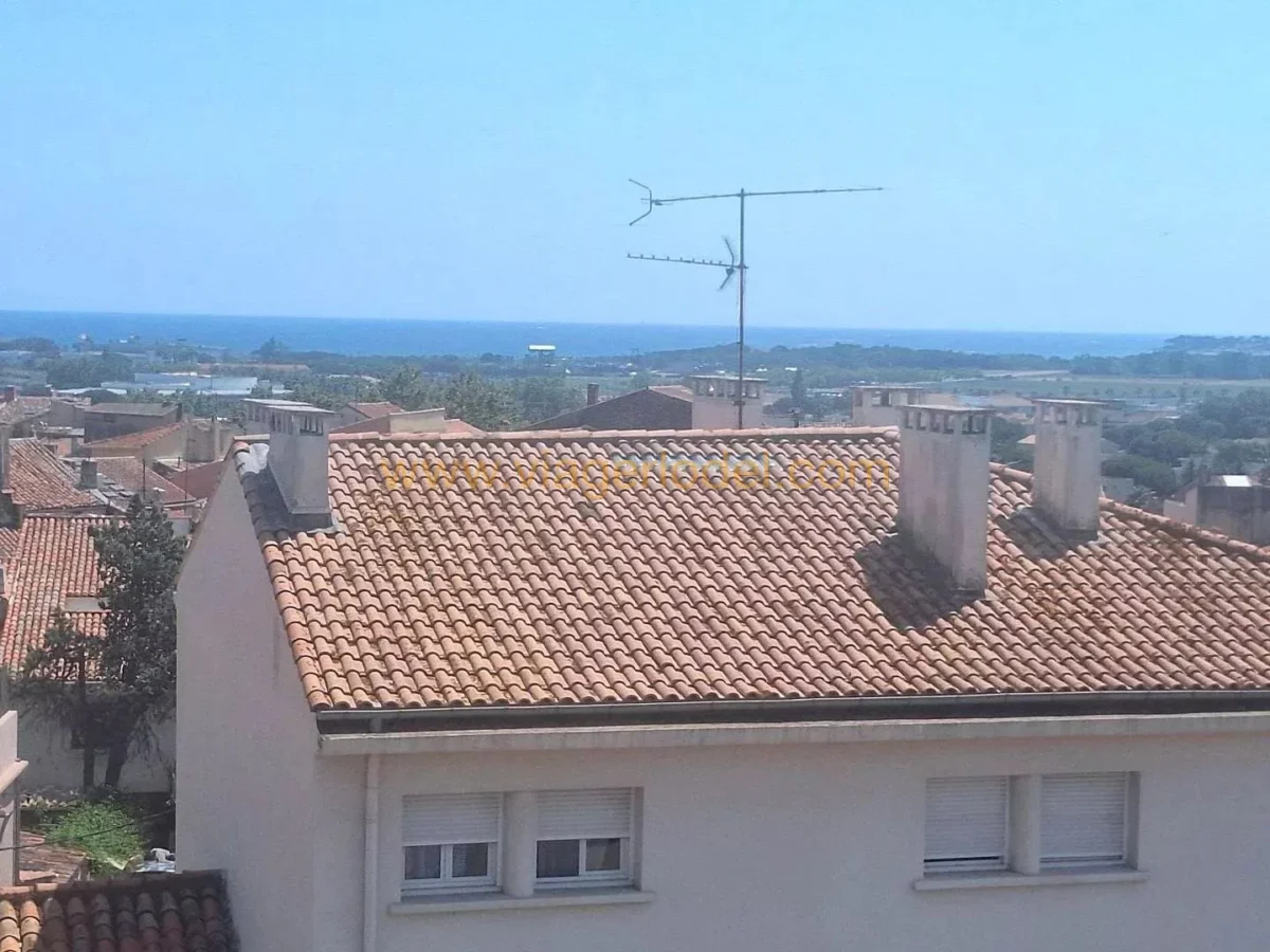 Photo 3 sur 9