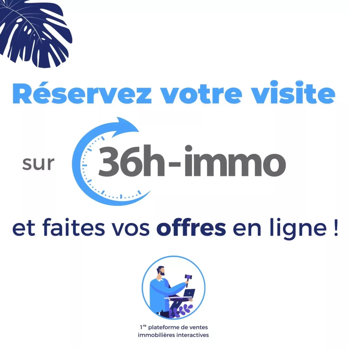 Photo 5 sur 5