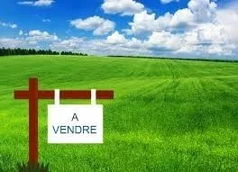 Photo 2 sur 2