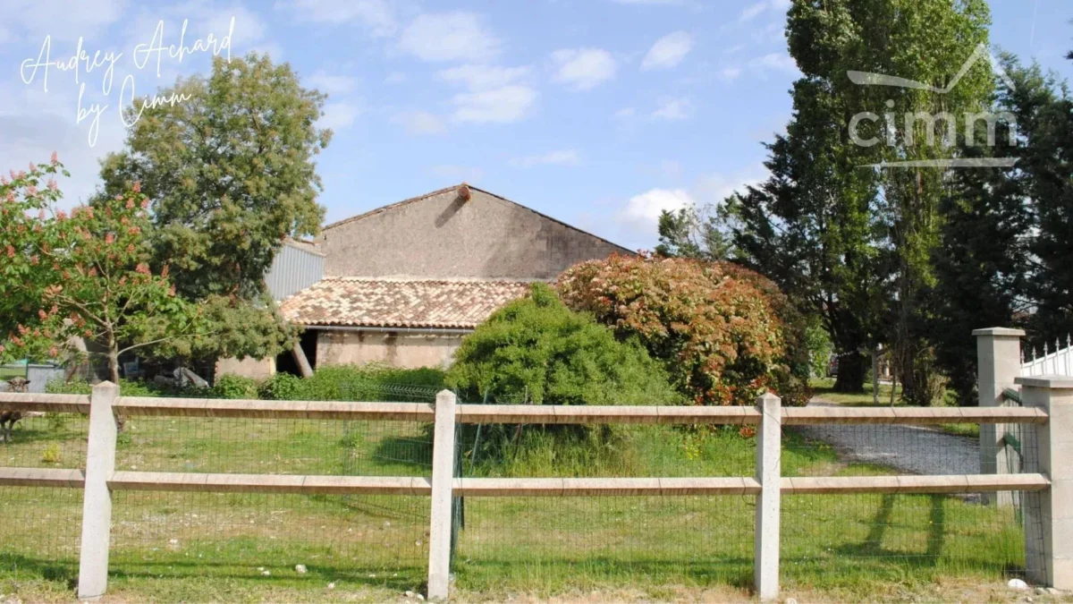 Photo 5 sur 6