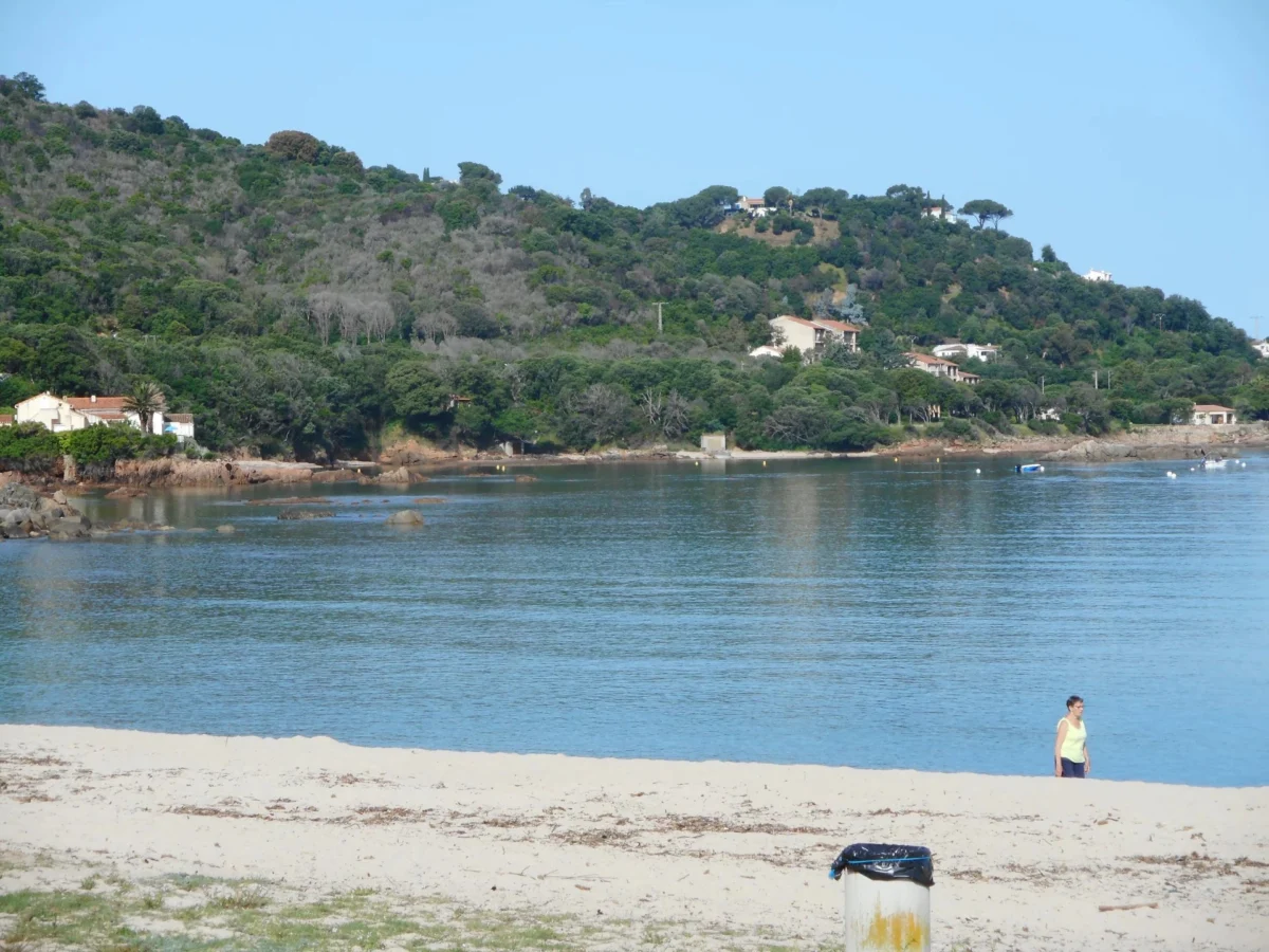 Photo 5 sur 8