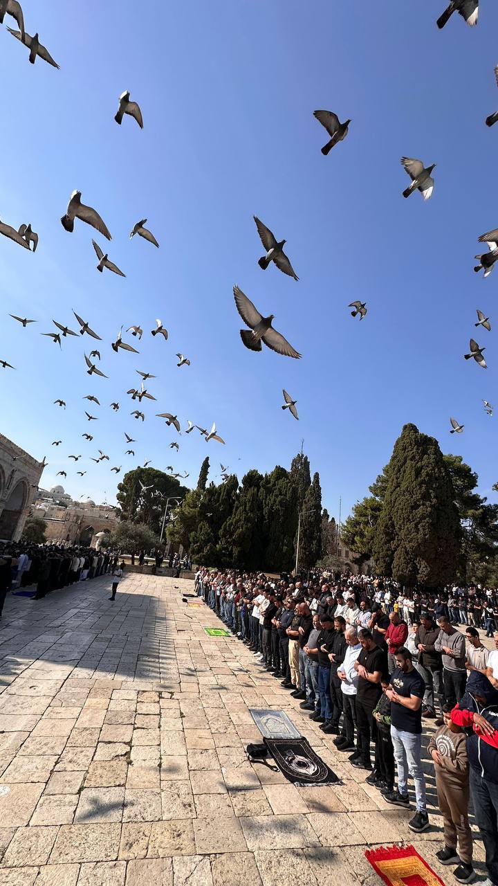 Image of Israeli military officer statement