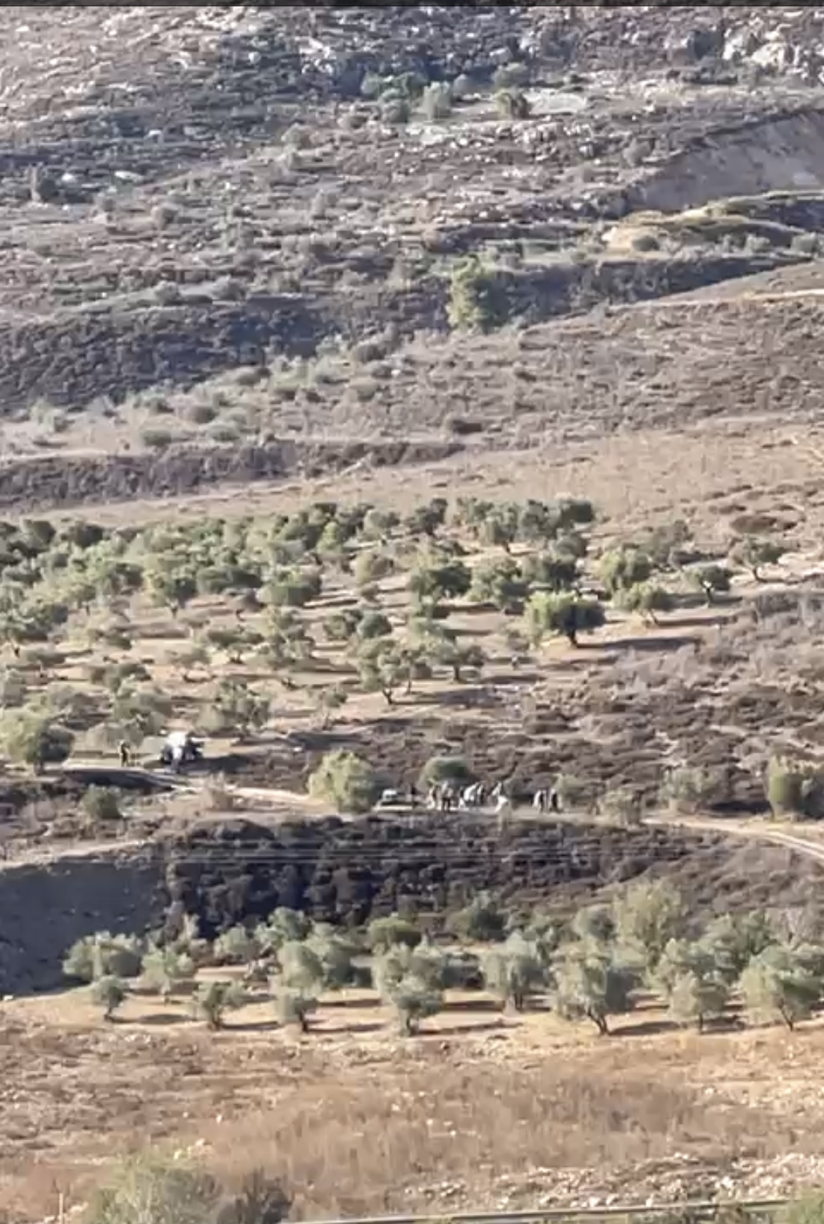 صورة الاشعار