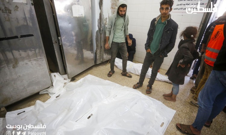 صورة الاشعار