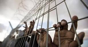 Image of Israeli military officer statement