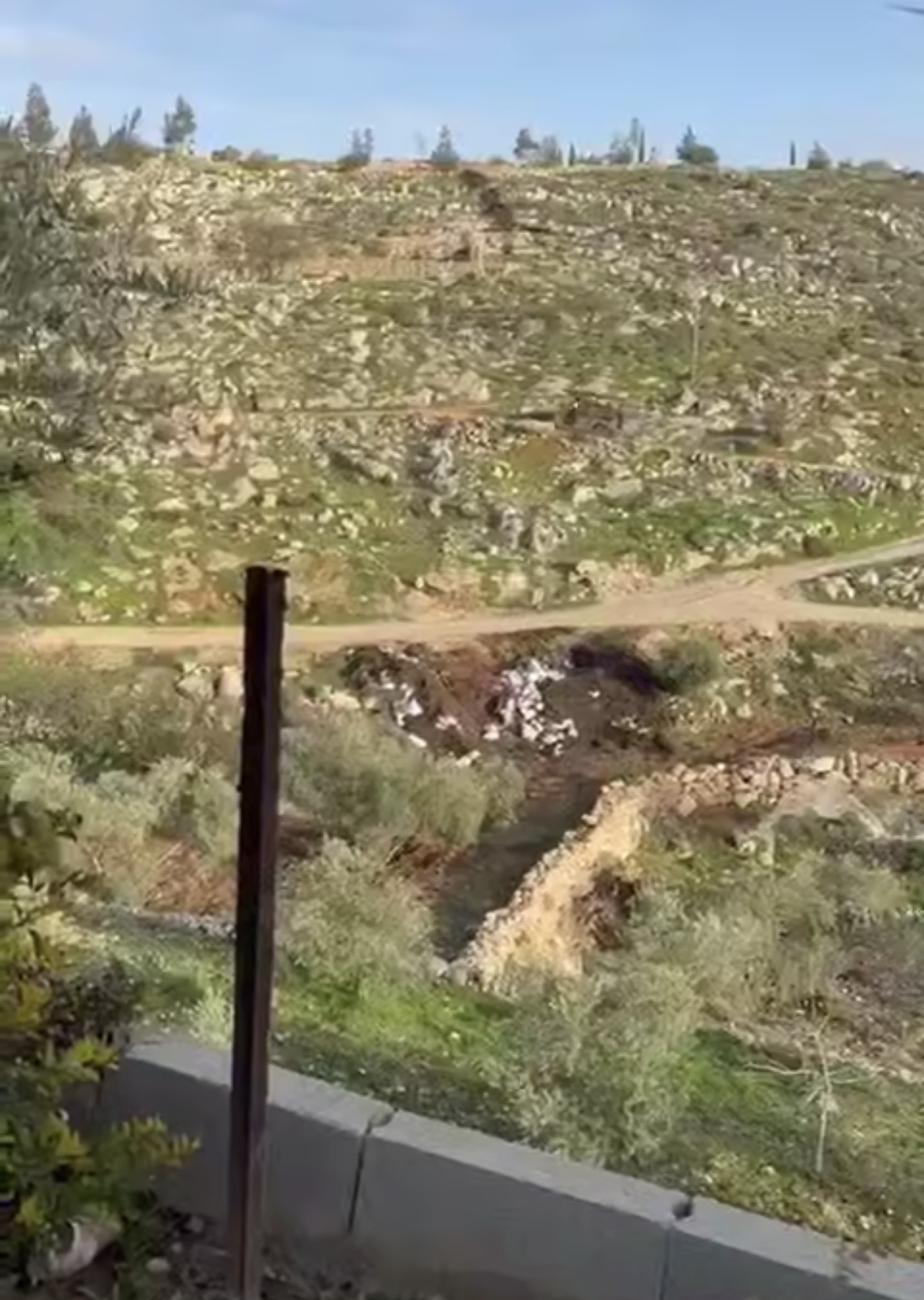 صورة الاشعار