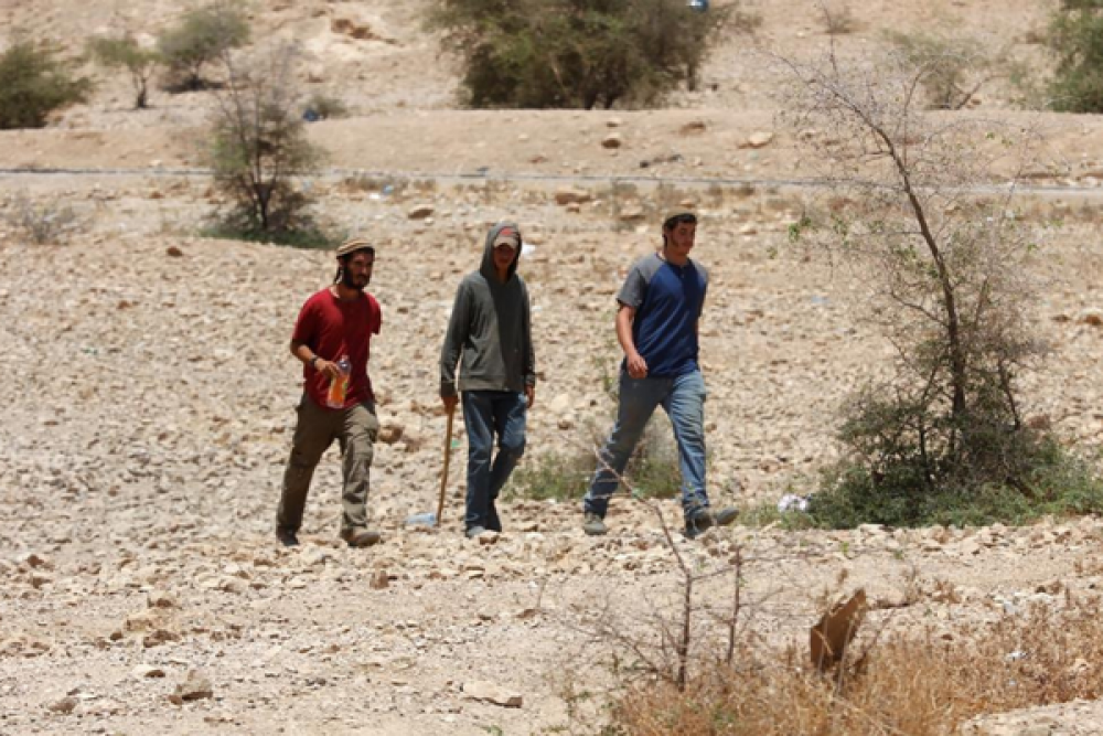 صورة الاشعار