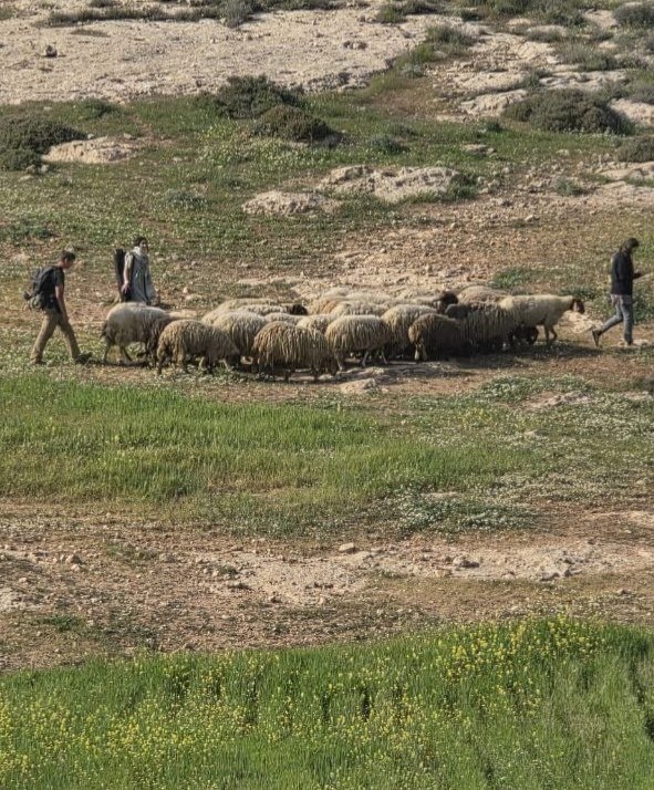 Image of Israeli military officer statement