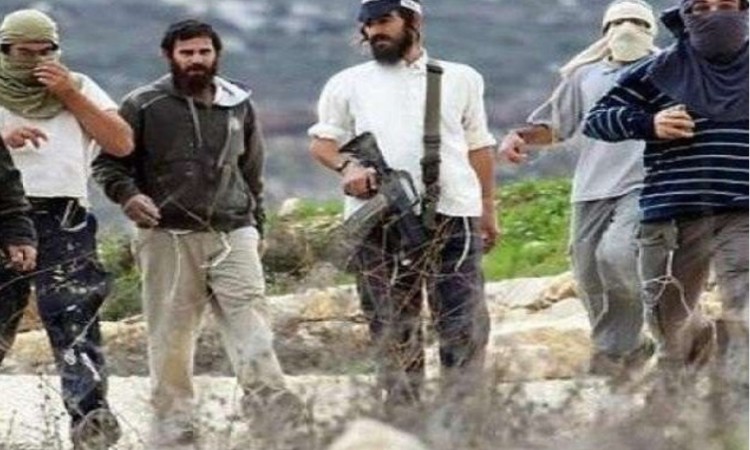 Image of Israeli military officer statement