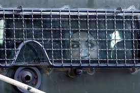 قائمة بأسماء معتقلين صدرت بحقهم أوامر اعتقال إداري جديدة